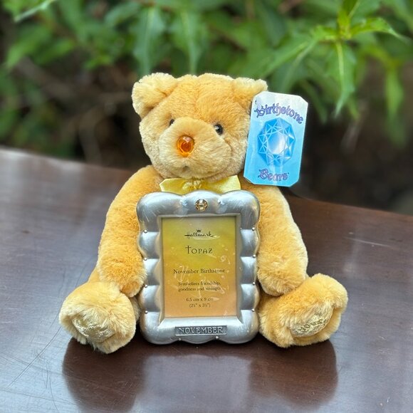 Hallmark Birthstone Bear Picture Frame November Topaz Plush Teddy Birthday Gift - Picture 1 of 14